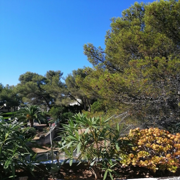 Offres de vente Appartement La Seyne-sur-Mer 83500